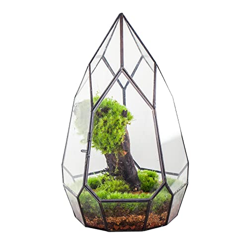 NCYP Black Glass Geometric Terrarium Container with Door - Balcony Planter DIY Display Flower Pot for Succulent Fern - Tabletop Miniature Botanical Fairy Garden (No Plants) 12.2" Height, 7.1" Width