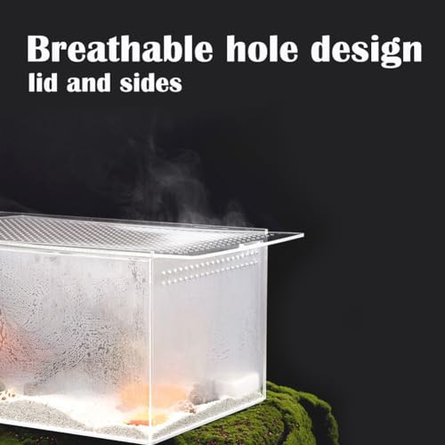 6*6*12in & 8*4*4in Front Opening Arboreal Tarantula Enclosure