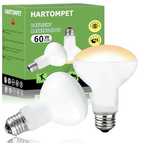 60W E26 Reptile Heat Lamp Bulbs, R63 Upgraded UVA Basking Spot Light for Bearded Dragon, Lizard, Tortoise & Amphibians - Simulated Natural Sunlight, Daylight Bulb fot Terrarium | 2 Pack - color: Basking Spot Lamp, size: 60W - Gen2 - R63