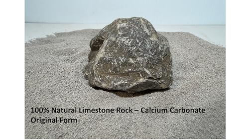 Reptile Sand - 100% Limestone Calcium Aquarium Substrate - All Natural Quarried in The USA (6, Pounds)