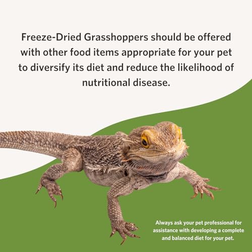 Fluker's Freeze Dried Grasshoppers, Nutrient-Packed, Ideal for Lizards, Reptiles, Birds, Fish, Hedgehogs, 1.7 oz