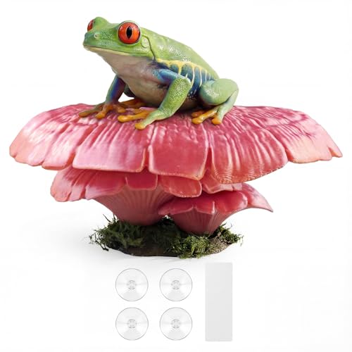 Mushroom Reptile Ledge| Tree Frog Terrarium Tank Accessories, Crested Gecko Tank Accessories, Frog Habitats, Fish Tank Decor| Terrarium Plants Decor from Daughter| 4 Suction Cups - color: Fairy Pink+suction Cup