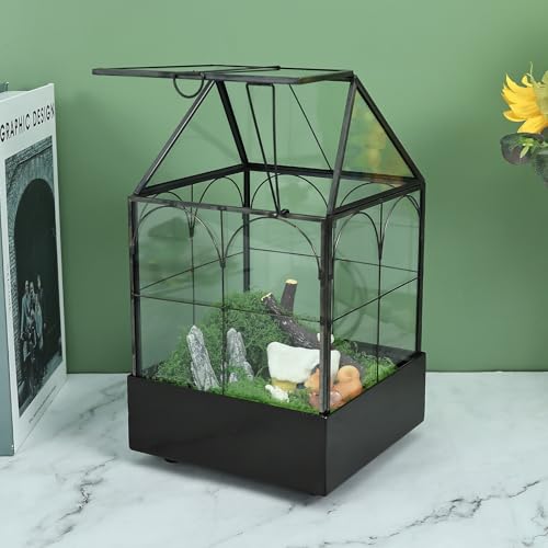HighFree Glass Terrarium with Metal Tray, Glass Greenhouse Terrarium Kit for Succulents, Cacti, Snails, Spiders, and Miniature Reptiles, Black (Small-5.9" L x 5.9" W x 10.2" H) - size: Small-5.9"L x 5.9"W x 10.2"H