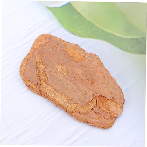 1pack Natural Pine Bark Pad for Reptile Habitat Cushion for Lizards Snails Chameleons and Geckos Decor for Crawler Boxes and Terrariums