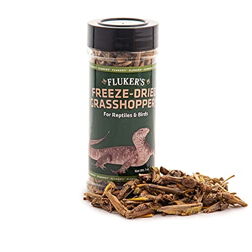 Fluker's Freeze Dried Grasshoppers, Nutrient-Packed, Ideal for Lizards, Reptiles, Birds, Fish, Hedgehogs, 1.7 oz