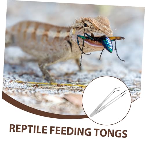 2pcs Reptile Feeding Tongs with Rubber Tips Stainless Steel Curved Tweezers for Easy Operation Aquariums Lightweight and Portable Feeding Tools for Snakes Lizards and Terrariums
