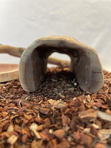 Reptile Habitat Decor Set for Bearded Dragons, Geckos & Lizards – Natural Manzanita Branch, Hollow Log Hide, 2 Slices & 4qt Substrate by MyMANZANITA