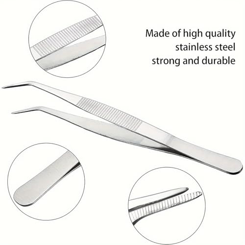 Stainless Steel Reptile Feeding Tongs Tweezers for Aquarium, Terrarium & Crafts Bearded Dragon Snake Tank Accessories, Planted Tank Tools Feeder for Lizards-5.51 Inches Curved - size: 5.51 Inches Curved