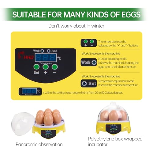 7-Egg Mini Egg Incubator with 360° View, Educational Hatching Kit for Kids, Classrooms & Families, Automatic Temperature Control & Manual Humidity Control, Suitable for Chicken, Duck & Quail Eggs