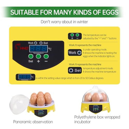 7-Egg Mini Egg Incubator with 360° View, Educational Hatching Kit for Kids, Classrooms & Families, Automatic Temperature Control & Manual Humidity Control, Suitable for Chicken, Duck & Quail Eggs