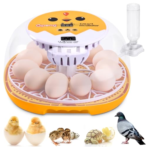 Gpeng Egg Incubator, 12 Eggs Incubator with Auto Egg-Turning, Auto Temperature Control, for Hatching Chicken Goose Pigeon Quail Duck - size: 12-Eggs