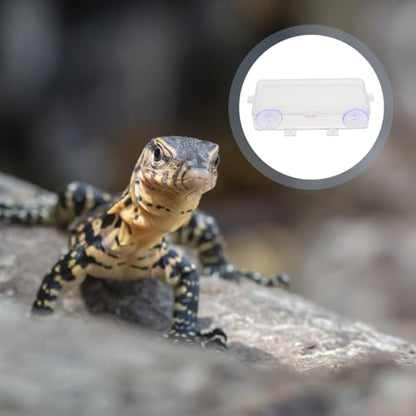 Sosoport Suction Cup Reptile Feeder Acrylic Food and Water Dish with Double Suction for Gecko Lizard Tank Accessories Easy to Clean Reptile Feeding Bowl, 6.10 X 2.95 X 1.37 Inch
