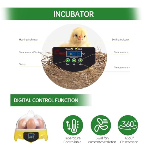 7-Egg Mini Egg Incubator with 360° View, Educational Hatching Kit for Kids, Classrooms & Families, Automatic Temperature Control & Manual Humidity Control, Suitable for Chicken, Duck & Quail Eggs