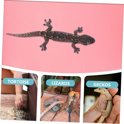 Reptile Carpet Substrate Mat for Leopard Gecko Snake Tortoise Lizard Bedding Terrarium Liner Reusable Cuttable Lightweight Flooring for Reptile Tanks