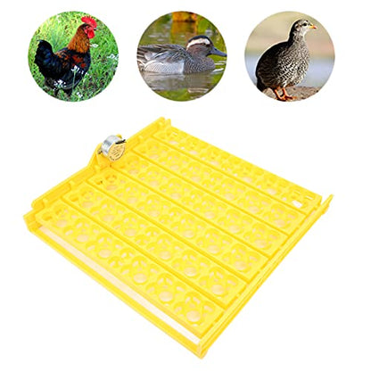 Egg Incubator Tray, Hollow Four Leaf Fancy Automatic Egg Turning Tray, Egg Turner for Survivors, Small Commercial Farmers, Chicken Duck Quail (110V) - size: 110V