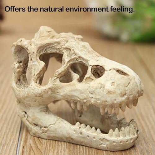 HEPBAK 1 Pcs Dragon Resin Aquarium/Terrarium Decoration Crocodile Skull for Fish Tank Resin Ornament Decorate Your Aquarium, White
