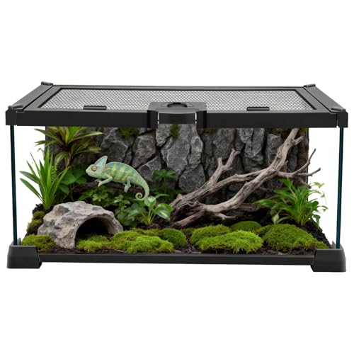 Reptile Terrariums Mini Glass Tank 12" x 8" x 6" Habitat, Top-Opening Mesh Lid with Latch, 360° Clear View, Ventilated Enclosure for Jumping Spiders, Tarantulas, Isopods & Froglets