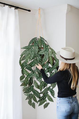 Large Fake Hanging Plants in Pot with Hook, 37" Artificial Hanging Begonia Vines Plants, Fake Potted Tropical Plants for Room Wall Living Room Bathroom Kitchen, Big Faux Ivy Houseplants for Shelf - color: # Green Anthurium Crystallinum