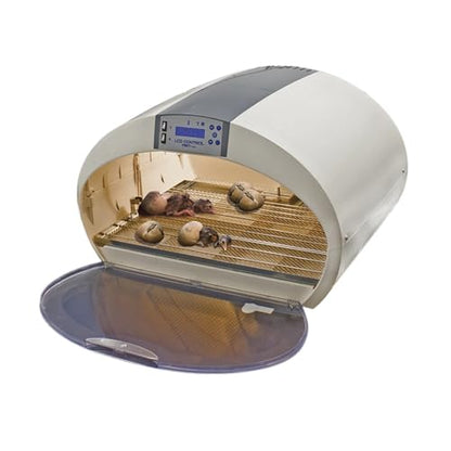 The Incubator Store EVO 72 Digital Incubator | Automatic Egg Turning | LCD Temperature & Humidity Control | Multi-Species Egg Incubator | Fan-Assisted Airflow