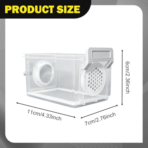 Breeding Box, Reptile Feeding Box, Transparent Terrarium, Habitat, Animal Holder for Raising Mealworms, Style A - color: style A