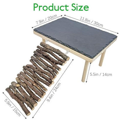 BNOSDM Basking Rock Platform with Climbing Ramp Reptiles Hideout Bearded Dragon Hide Cave Reptile Tank Accessories Suit for Tortoise, Lizard, Toad, Gecko (Large)