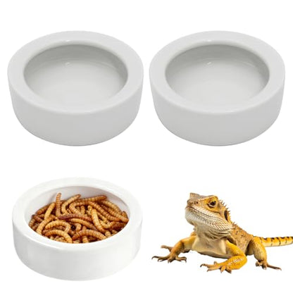 Escape-Proof Reptile Food Dish Bowl, Ceramic Reptile Feeding Dish & Small Animal Bowl for Lizard, Leopard Gecko, Hermit Crab, Hamster, Anti Escape Live Food & Water Dish (3x1in) 2PCS - size: Medium-2Pack