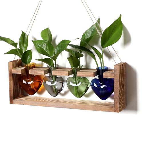Plant Propagation Stations Heart Plant Terrarium Kit Gift for Women Plant Lover Glass Vases - color: Color01
