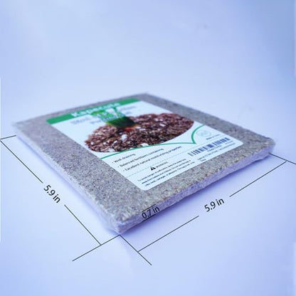 2QT Bird of Paradise Potting Soil, Professionally Formulated Natural Weakly Acidic, High Humidity, Fast Draining Potting Soil