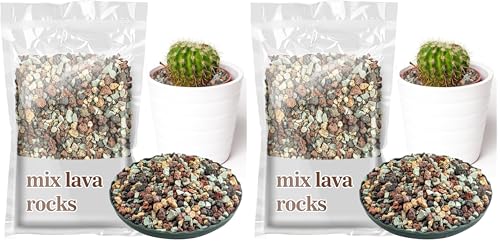 Sukh 1LB Horticultural Succulent Granule Soil - Succulent Rocks Bonsai Mix Lava Rocks Cactus Soil Potting Mix Amendment (Pack of 2) - size: 1LB (Pack of 2)