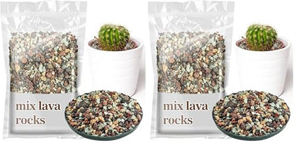 Sukh 1LB Horticultural Succulent Granule Soil - Succulent Rocks Bonsai Mix Lava Rocks Cactus Soil Potting Mix Amendment (Pack of 2) - size: 1LB (Pack of 2)
