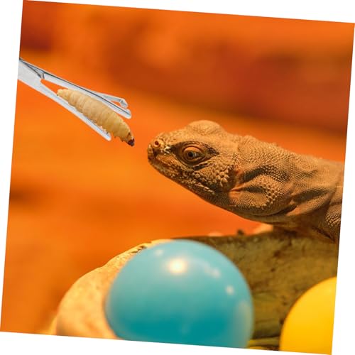 POPETPOP Stainless Steel Reptile Feeding Tongs Durable Long Handle Tweezers for Lizards Snakes Aquarium Use Grip Feeding Tool for Terrariums