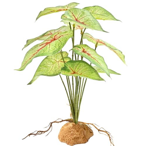 Woyrise Reptile Artificial Plants for Terrarium Decor, Amphibian Habitat Decorations Bearded Dragon Tank Accessories fit Crested Gecko Leopard Lizard Chameleon Ball Python Snake Frog - Fake Caladium - color: A-caladium