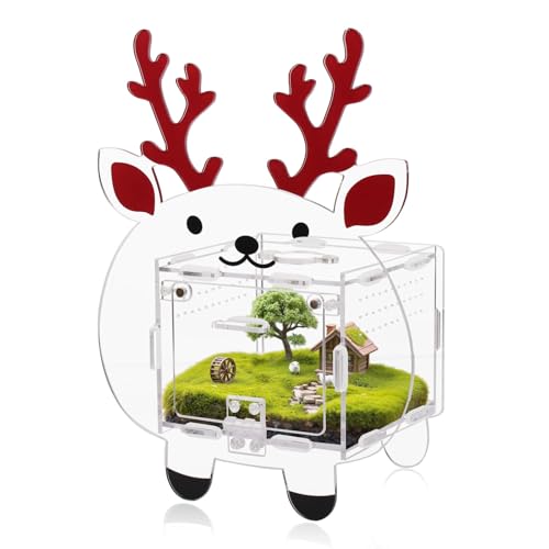 Acrylic Jumping Spider Enclosure with Magnetic Door - 4.7"x4.7"x3.5" Escape-Proof Habitat, Front Opening Terrarium for Tarantula, Reptiles & Insects