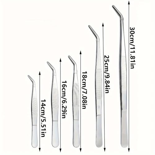 Stainless Steel Reptile Feeding Tongs Tweezers for Aquarium, Terrarium & Crafts Bearded Dragon Snake Tank Accessories, Planted Tank Tools Feeder for Lizards-5.51 Inches Curved - size: 5.51 Inches Curved
