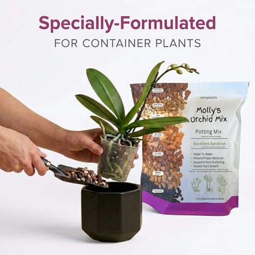 Molly's Orchid Potting Mix - Premium Gritty Soilless Orchid Mix - Chunky High Drainage vs Standard Potting Soil for Indoor Plants - Contains Bark, Coco Chips, Akadama, Pumice, Lava Rock 3 Dry Quarts - size: 3 Dry Quarts, style: Orchids