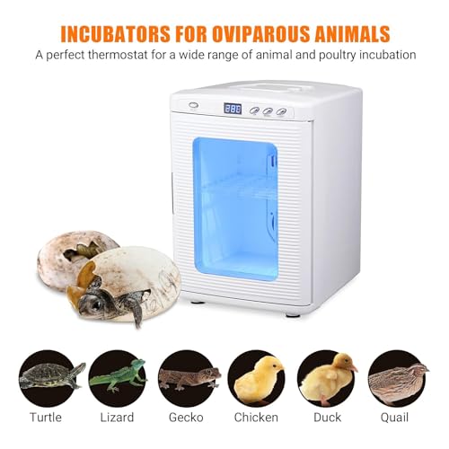 25L Egg Incubator with Precise Digital Thermostat for Heating and Cooling 10°C to 60°C Ideal for Small Reptiles Birds or Laboratory Use 12V/110V White