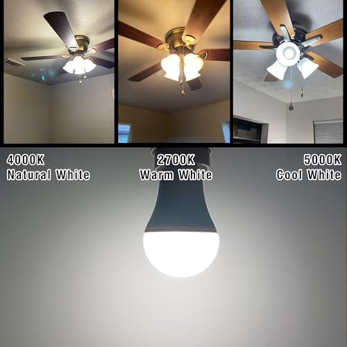 E12 LED Candelabra Light Bulb, 40W Equivalent Daylight White 5000K, 4W 450LM AC120V, E12 Small Base LED Light Bulbs for Chandelier Wall Sconces Ceiling Fan Lighting, Non-Dimmable, 4 Pack - color: Daylight White, size: 40 Watts