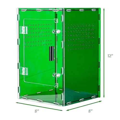 8x8x12 Acrylic Terrarium Reptile Tank – Cyberpunk Deep Green Reptile Enclosure Modeled After New Caledonia Rainforest for Lizards, Spiders & Small Reptiles - color: DeepGreen