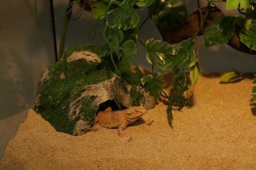 AQUA KT Terrarium Reptile Hideout Cave Rock with Basking Platform for Lizard Snake Bearded Dragon Climbing Amphibian Habitat