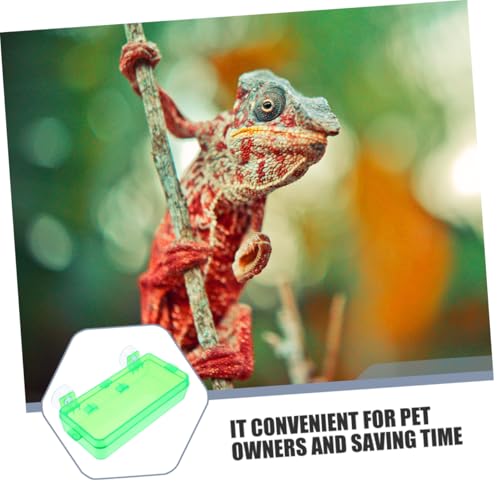 Pet Reptile Feeder Suction Cup Gecko Food and Water Bowl Escapeproof and Easy to Basin - color: Light Green, size: 13.50X6.50X3.50CM