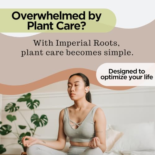 Premium Indoor Plant Potting Mix (4qt) – Peat-Free, Well-Draining Soilless Blend for Aroids & Tropical Houseplants with Coco Coir, Biochar & Pumice