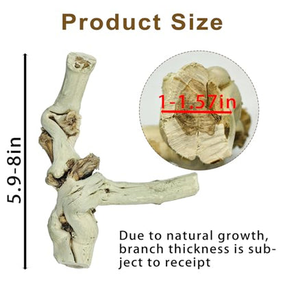 BNOSDM Reptile Branches, 5.9inch Snake Climbing Branch, Terrarium Wood Branch Decor, Bearded Dragon Tank Climbing Accessories for Lizard, Gecko, Chameleon, Frog