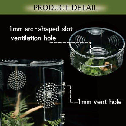 Acrylic Terrarium for Reptiles & Spiders – Small/Medium/Large Leak-Proof Enclosure (Horizontal/Vertical) | Ideal for Tarantulas, Jumping Spiders, Frogs & Geckos(Medium, Round) - size: Medium