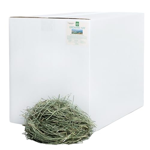 Small Pet Select Orchard Hay, Grass for Rabbit, Guinea Pig, Bunny, Chinchilla and Other Small Animals, Premium Natural Hay Grown in The US, Pet Food, 40 lb - size: 40 Pound (Pack of 1)