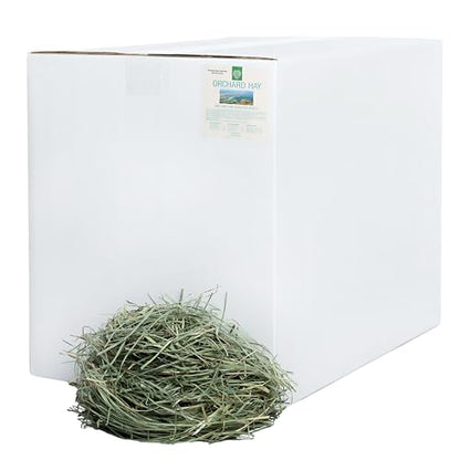 Small Pet Select Orchard Hay, Grass for Rabbit, Guinea Pig, Bunny, Chinchilla and Other Small Animals, Premium Natural Hay Grown in The US, Pet Food, 40 lb - size: 40 Pound (Pack of 1)