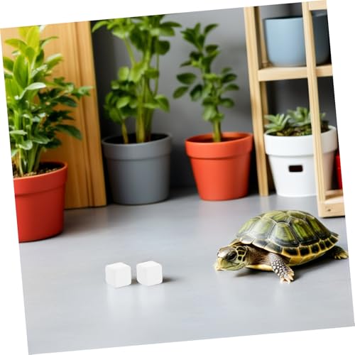 NUOBESTY Tortoise Tank Calcium Blocks 6pcs Mineral Calcium for Reptiles and Amphibians, Natural Mineral Chew Stones to Enhance Strength and Provide Trace Elements