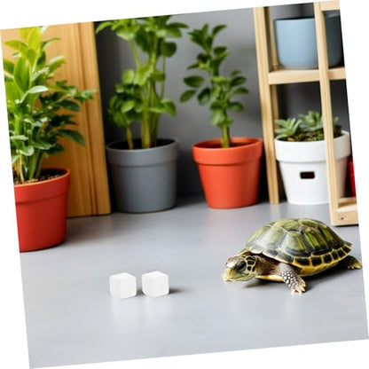 NUOBESTY Tortoise Tank Calcium Blocks 6pcs Mineral Calcium for Reptiles and Amphibians, Natural Mineral Chew Stones to Enhance Strength and Provide Trace Elements