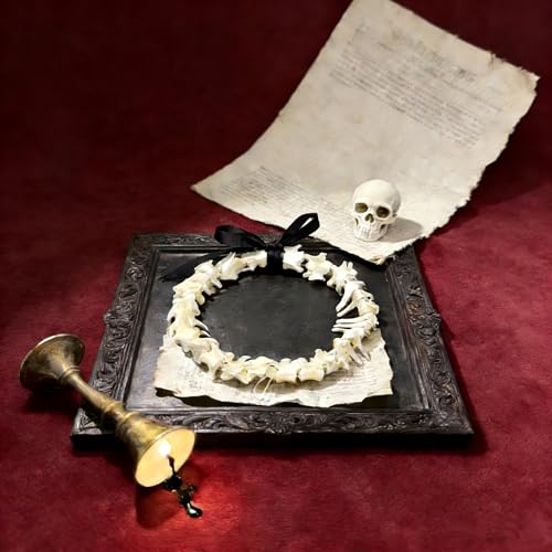Taxidermy Real Animals Skulls, Real Bones Specimen, Taxidermy Supplies for Science Education, Special Gift (Fox Spine) - style: Fox Spine