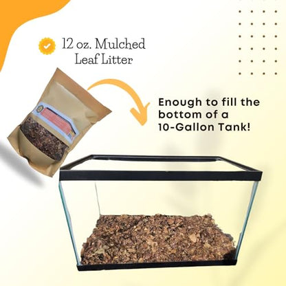 SCOTTY'S BUGS Mulched Leaf Litter for Reptiles, Isopods Live & Snails, Isopod Substrate, Terrarium Bedding, Organic Leaves from Natural Woodlands, 12-Ounce Pack - size: 12oz