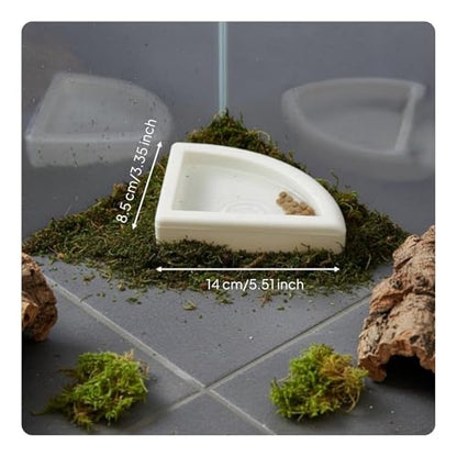 Split Design Reptile Bowl Multi-Functional Corner Reptile Food Bowl Material Terrarium Accessory, L - size: L